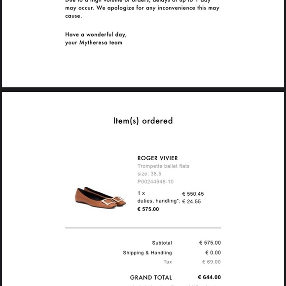 Roger Vivier Trompette Ballet Flats - Picture 6 of 7